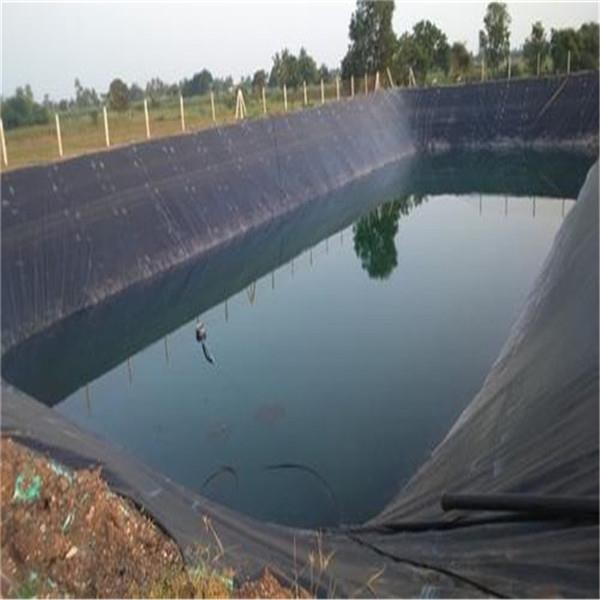 HDPE waterproofing geomembrane application 2