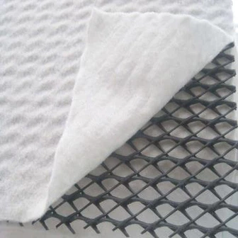GEONET composito