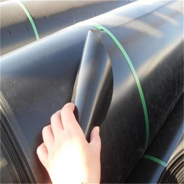 HDPE Waterproofing Geomembrane